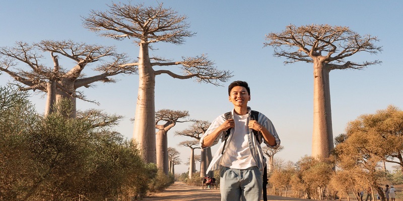 Avenue of the Baobabs – The Mysterious Beauty of Madagascar's Wild Nature